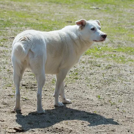 Konukevi Seebichlhof Kraig