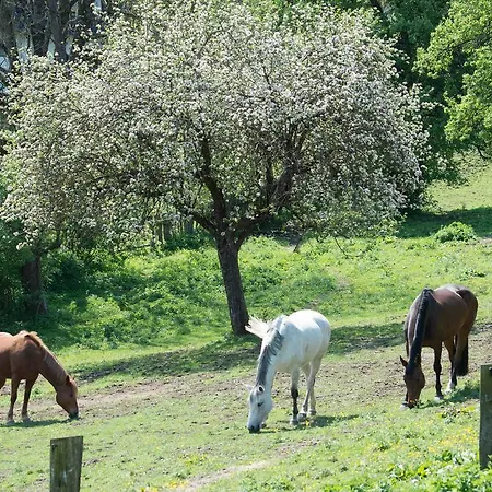 Konukevi Seebichlhof 3*