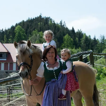 Pension Seebichlhof Kraig
