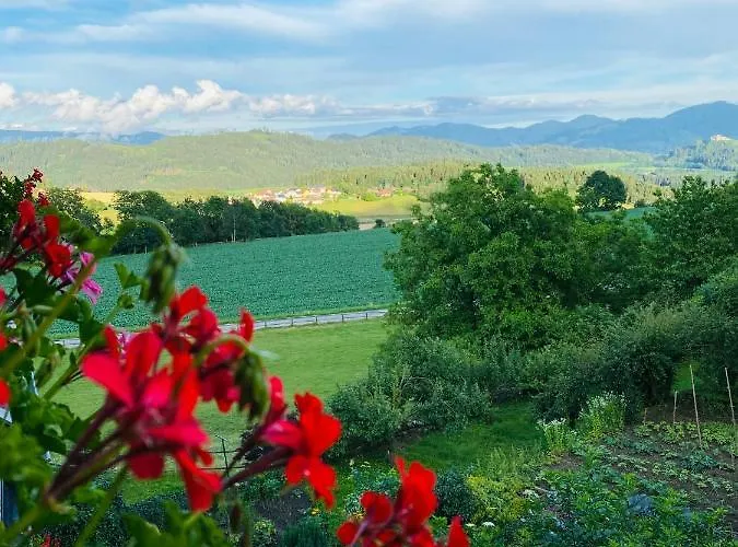 招待所 Seebichlhof Kraig