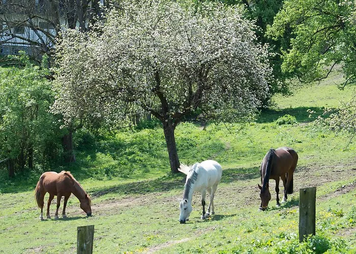 招待所 Seebichlhof 3*