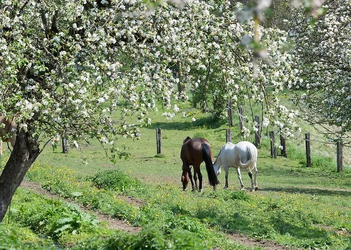 招待所 Seebichlhof 3*